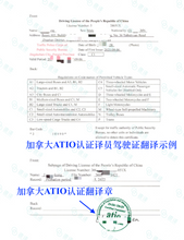 将图片加载到图库查看器，加拿大安省ATIO认证驾照+驾临认证翻译 + 邮寄
