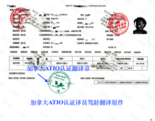 将图片加载到图库查看器，加拿大安省ATIO认证驾照+驾临认证翻译 + 邮寄
