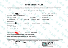 将图片加载到图库查看器，澳洲 NAATI 中国出生证明翻译
