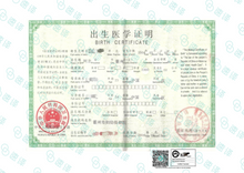 将图片加载到图库查看器，澳洲 NAATI 中国出生证明翻译
