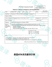将图片加载到图库查看器，美国 ATA 认证翻译服务

